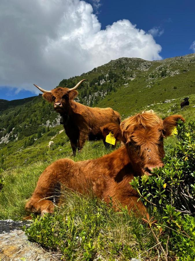 Die Acherberg Alm Эц Экстерьер фото